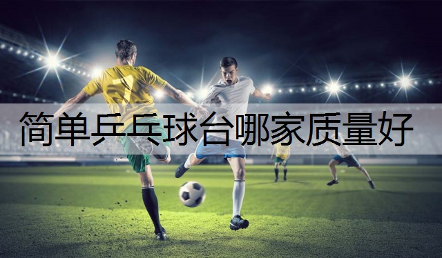 简单乒乓球台哪家质量好