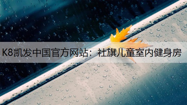 K8凯发中国官方网站：社旗儿童室内健身房