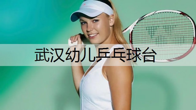 武汉幼儿乒乓球台