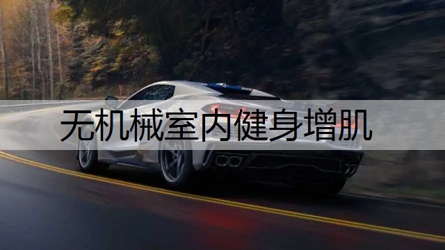 无机械室内健身增肌