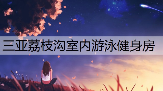 三亚荔枝沟室内游泳健身房