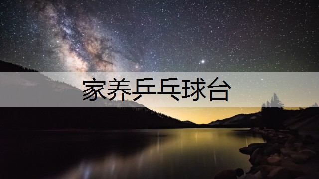 家养乒乓球台