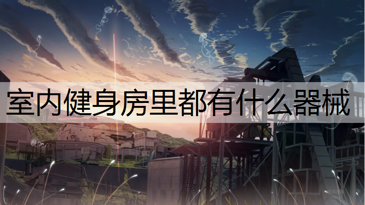 室内健身房里都有什么器械