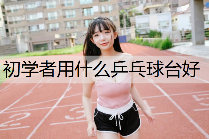 初学者用什么乒乓球台好