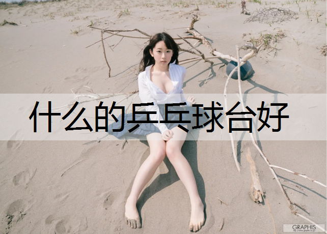什么的乒乓球台好