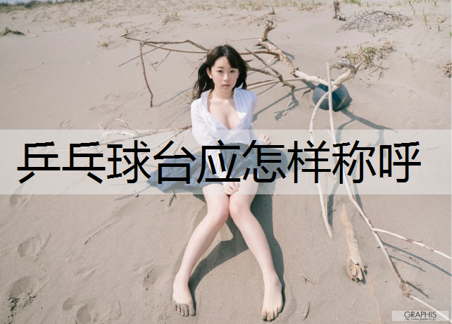 乒乓球台应怎样称呼