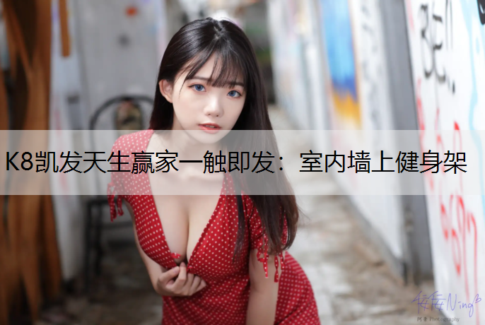 K8凯发天生赢家一触即发：室内墙上健身架