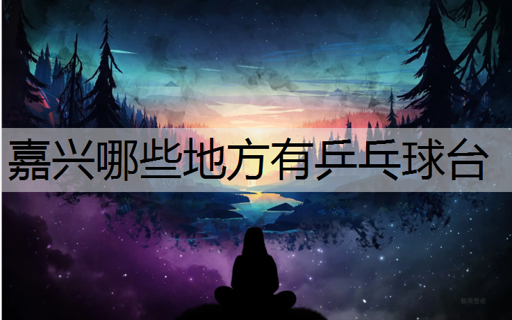 嘉兴哪些地方有乒乓球台