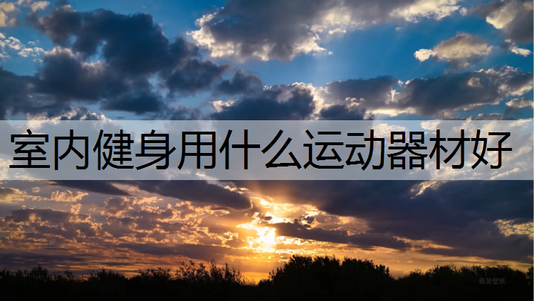 室内健身用什么运动器材好