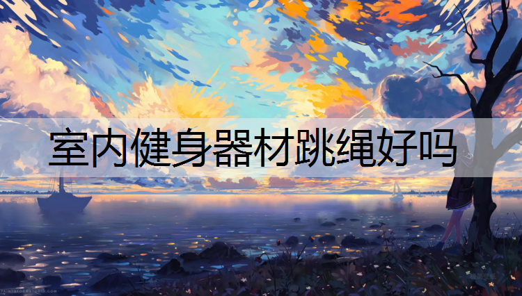 室内健身器材跳绳好吗