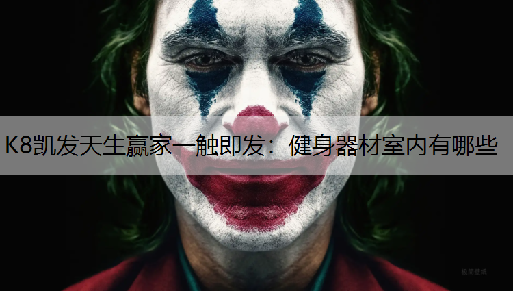 K8凯发天生赢家一触即发：健身器材室内有哪些