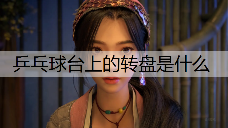 乒乓球台上的转盘是什么