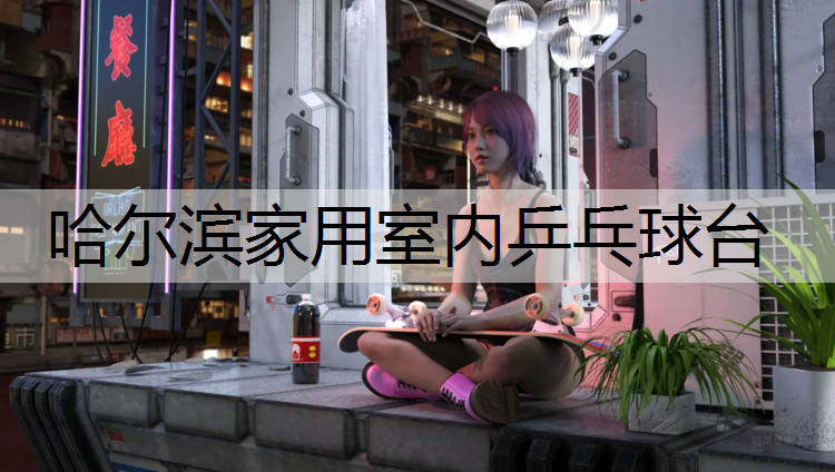 哈尔滨家用室内乒乓球台
