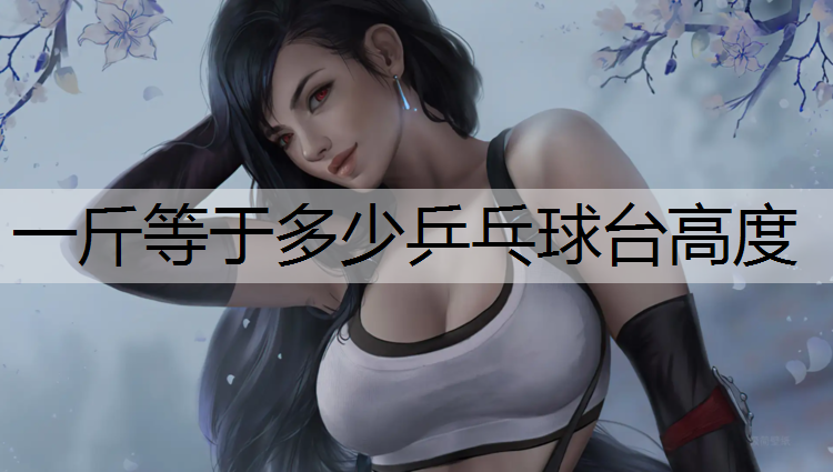 一斤等于多少乒乓球台高度