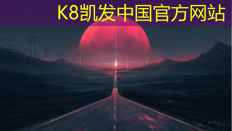k8凯发官网入口：新网球网子五维