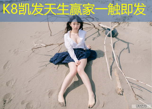K8凯发中国官方网站：塑胶跑道海标