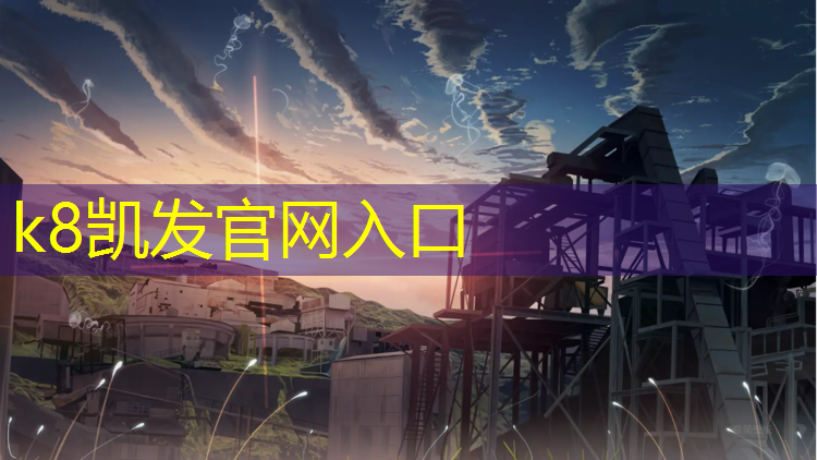 K8凯发：网球网前截杀