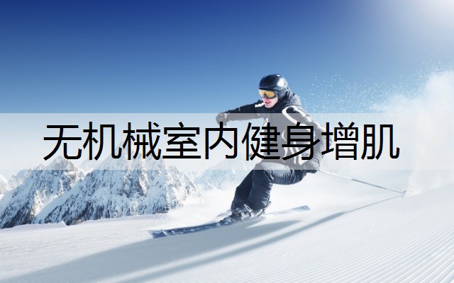 无机械室内健身增肌