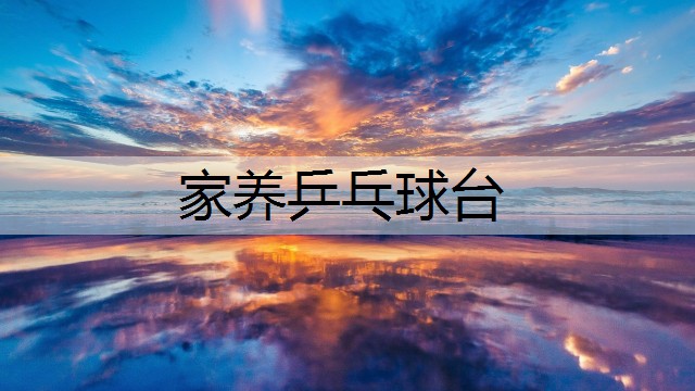家养乒乓球台