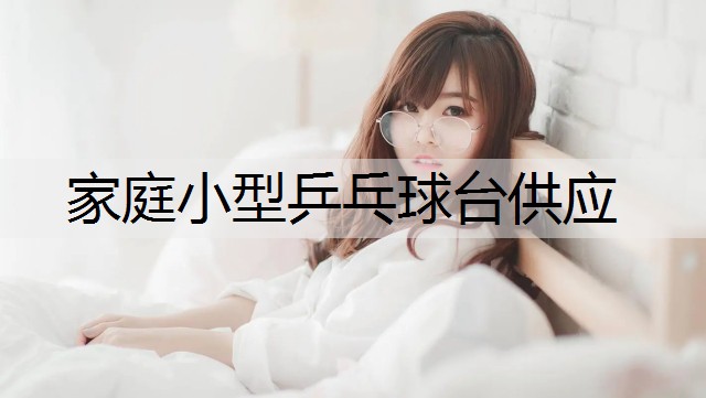 家庭小型乒乓球台供应