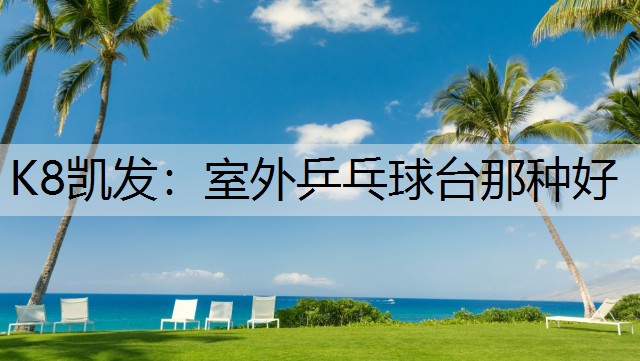 室外乒乓球台那种好