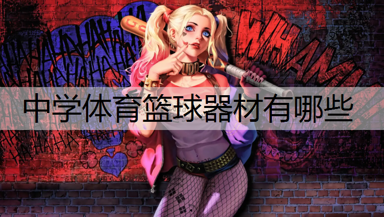 中学体育篮球器材有哪些