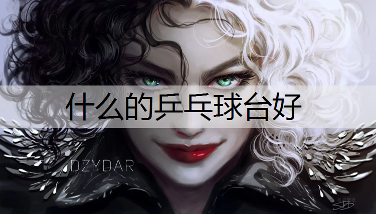 什么的乒乓球台好