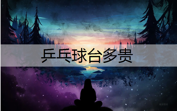 乒乓球台多贵
