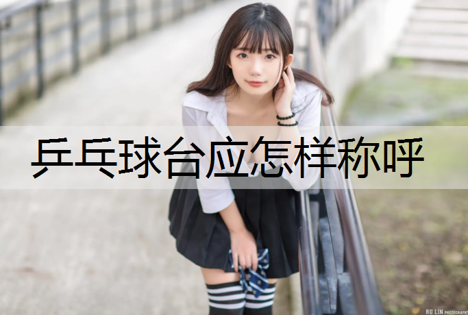 乒乓球台应怎样称呼