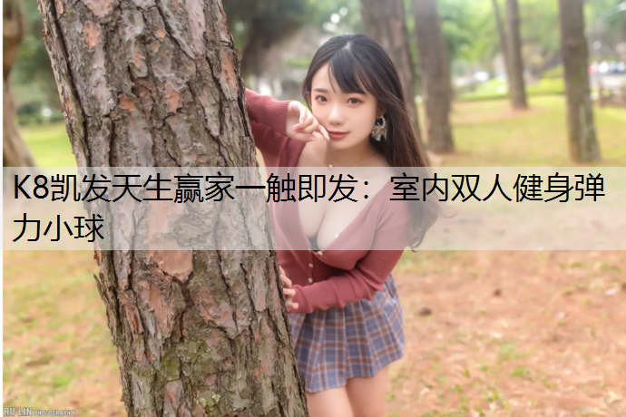 室内双人健身弹力小球