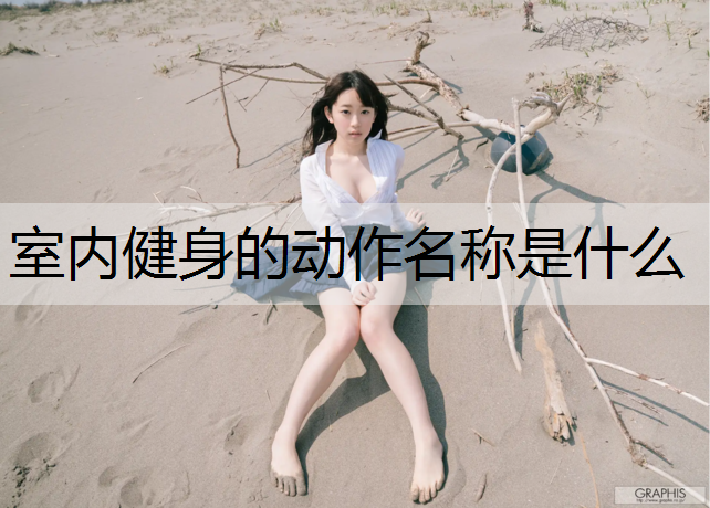 室内健身的动作名称是什么