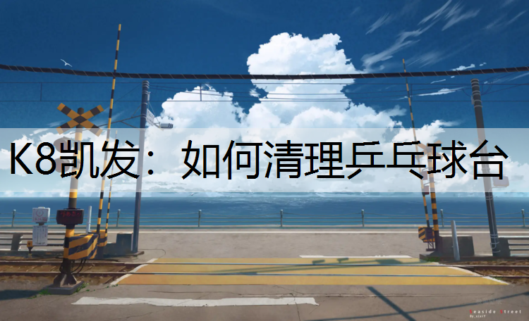 如何清理乒乓球台