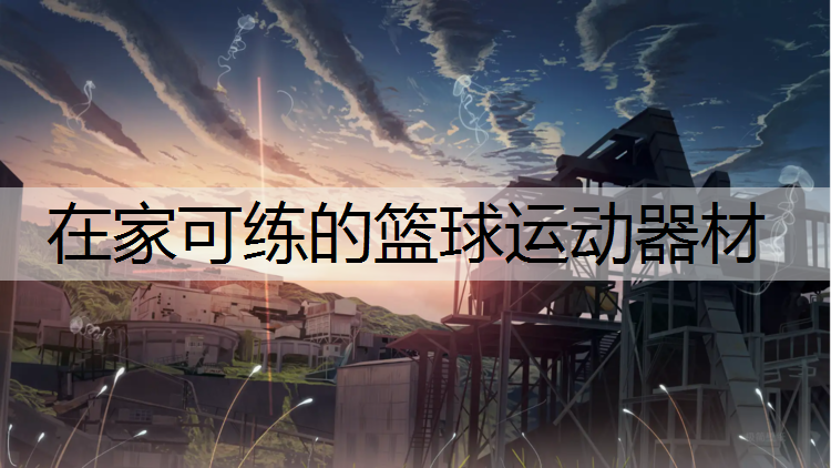 在家可练的篮球运动器材