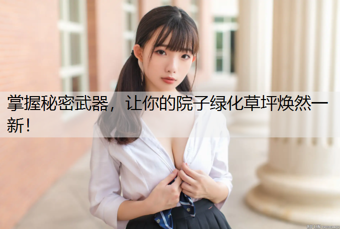 掌握秘密武器，让你的院子绿化草坪焕然一新！