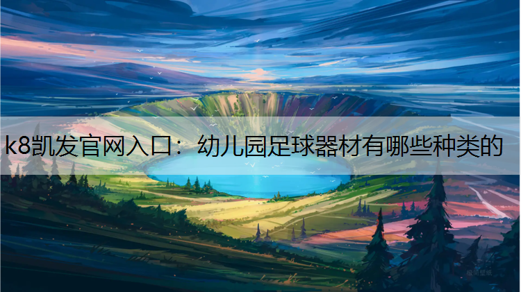 幼儿园足球器材有哪些种类的