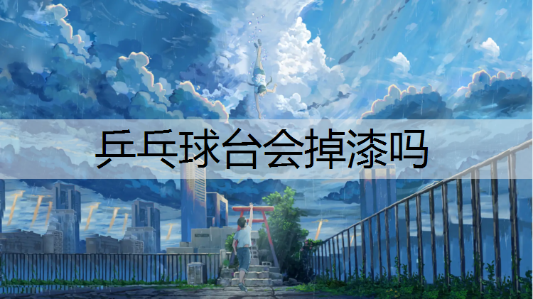 乒乓球台会掉漆吗